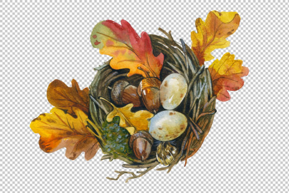 Bird's Nest Watercolor Set for Design