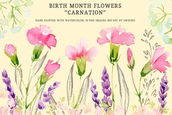 Birth Month Flowers: Carnation Watercolor Assets