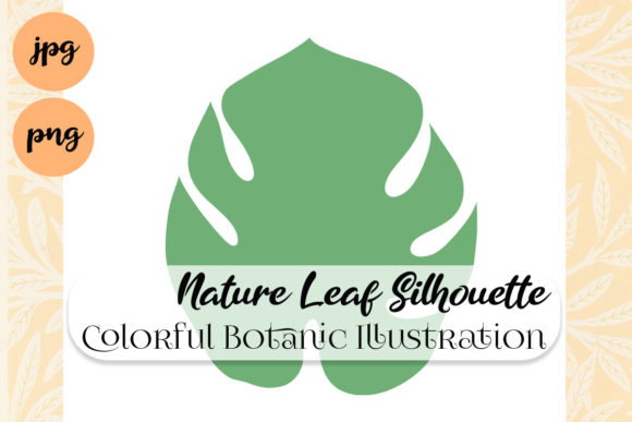 Enhancing Digital Creativity with Nature Leaf Colorful Silhouette Monstera Illustrations