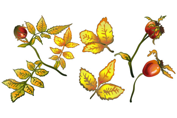 Enhancing Seasonal Design with the Vector Autumn Yellow Rose Hip Plant Set