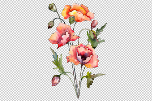 Evaluating the Bouquet of Red Poppies Watercolor Set for Botanical Design Projects