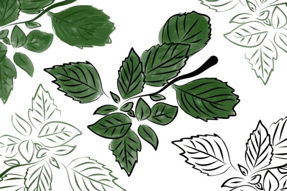 Mint Watercolor Branch: A Practical Asset for Organic Design