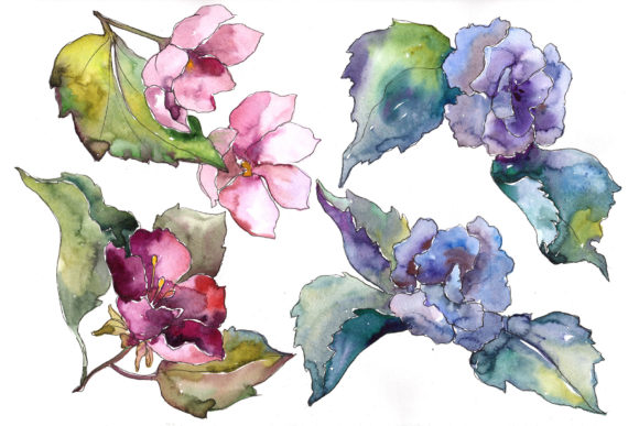 Pink and Blue Gardenia Flowers Watercolor Set: Elevating Creative Projects with Hand-Painted Botanicals