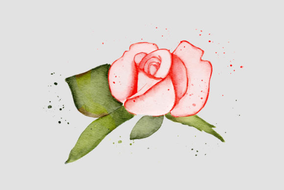 Pink Rose Watercolor Realistic PNG: Elevating Digital Design with Botanical Authenticity