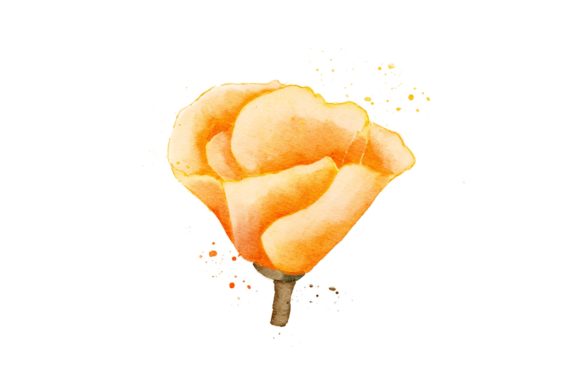 Yellow Flower Watercolor Realistic PNG for Design